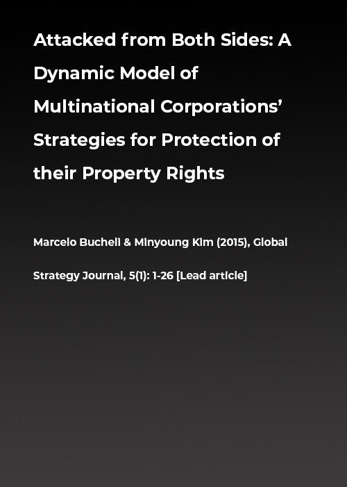 ATTACKED FROM BOTH SIDES: A DYNAMIC MODEL OF MULTINATIONAL CORPORATIONS’ STRATEGIES FOR PROTECTION OF THEIR PROPERTY RIGHTS